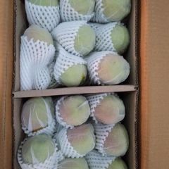 库尔勒香梨大量供货