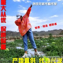 靖远硒砂瓜西瓜产地直销，地头价大量供应