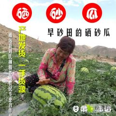 甘肃白银靖远旱砂田种植的硒砂瓜代收、代发一条龙服