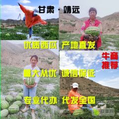 产地直供，甘肃靖远硒砂瓜大量供应中，货源充足