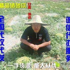 甘肃靖远硒砂瓜大量上市，产地直供