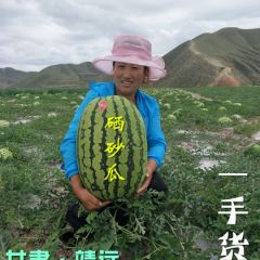 产地直销：甘肃靖远旱沙瓜、硒砂瓜大量供应中