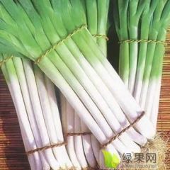 大葱求购，欢迎骚扰