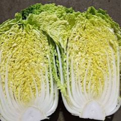 河北张家口玲珑黄白菜大量上市