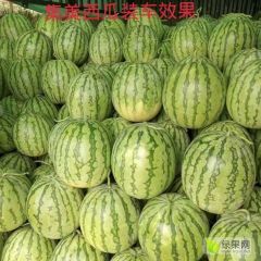 集美麒麟西瓜口感一流，质量保证