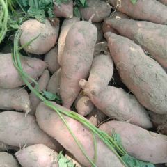 开封龙署九号 诚信互赞，合作共赢。