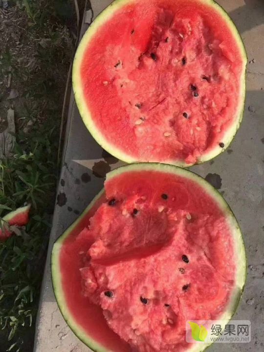 甜王系列价格