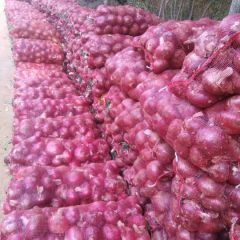 优质黄皮，红皮，紫皮洋葱