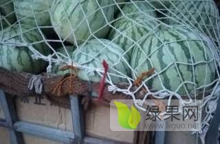 花皮无籽价格