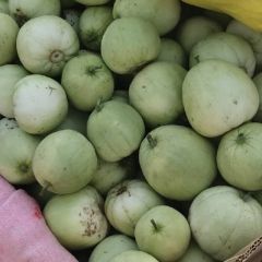 欢迎来到西瓜，甜瓜之都来