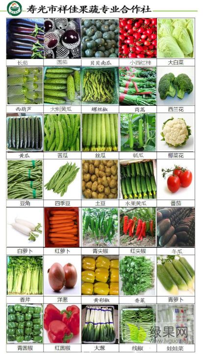 蔬菜合集.jpg