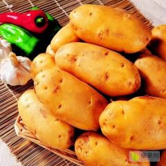 沽源土豆蔬菜代办郭胜东