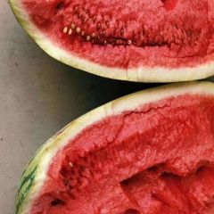 甘肃会宁 硒砂瓜供应 小张