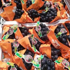 河北省邯郸市永年区夏黑葡萄《精品》