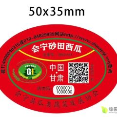 扎子塬村万亩旱砂地西瓜