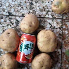 出售杠三七，荷兰十五