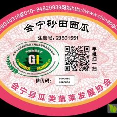 扎子塬村万亩旱砂地西瓜种植基地