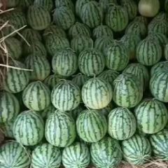 精品美都/8424大量上市欢迎来电13838602128