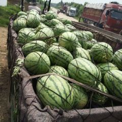 转业西瓜代办，代收，代发，团队服务