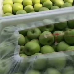 腾木苹果，上市中