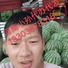 河南尉氏西瓜，甜类很，甜类跺脚，甜类一蹦一蹦类