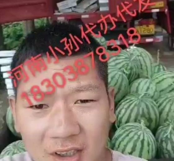 2020年河南开封8424西瓜价格