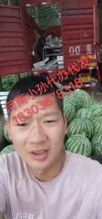 河南尉氏西瓜，甜类很，甜类跺脚，甜类一蹦一蹦类