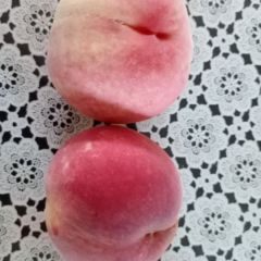 新鲜甘宁桃便宜啦