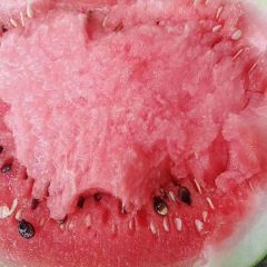 河南陆地西瓜大量上市