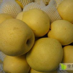 河北晋州市皇冠梨一级二级三级果