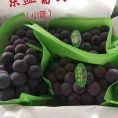 京亚葡萄大量上市
