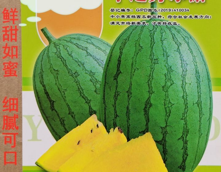 广西桂林冰糖西瓜黄心有籽