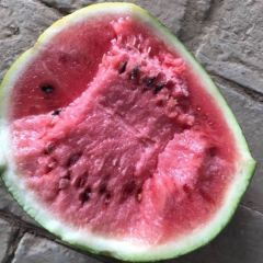 沙地美都大量供应，质量保证，信誉第一