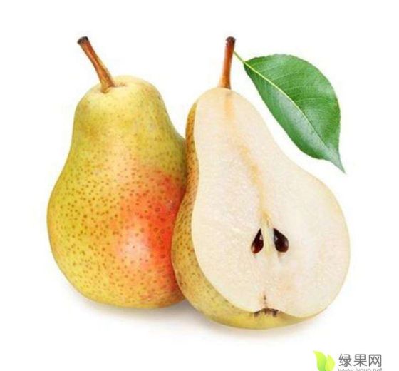 2025年陕西大荔红香酥梨价格