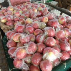 美八苹果大量上市