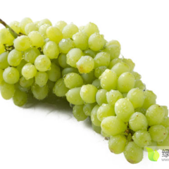 2020新疆无核白葡萄产地直批
