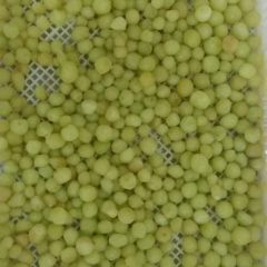 速冻葡萄、草莓、黑加仑、芒果等