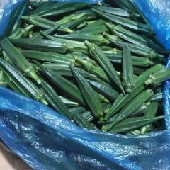 新鲜秋葵普兰店有机菜棚可批可零