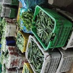 本人在佛山易运蔬菜批发市场137档