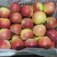 苹果，红美八，青华硕，优三。