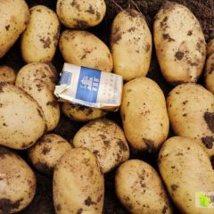 品质有保障，价格很实惠