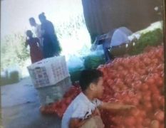 壶关县大批量西红柿销售中