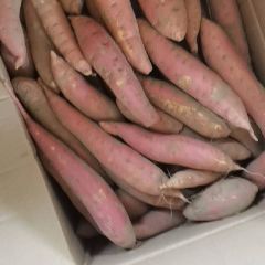 产地直销，质量保证，欢迎新老客户前来合作