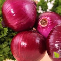 紫皮洋葱，红皮洋葱
