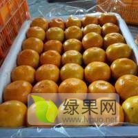 东江湖蜜桔现已大量上市 当地专业代办助您一臂之力