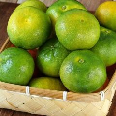 大量供应宜昌蜜橘，量大价格优