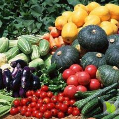 广州江南市场代销，口碑服务