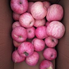 咸阳市旬邑县 大美旬邑，优质苹果佳天下。