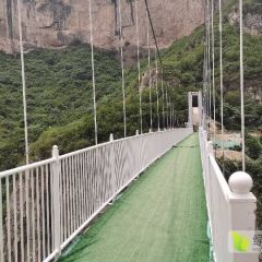 大量收购西红柿急急急