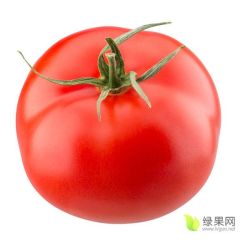 代收，大量出售西红柿